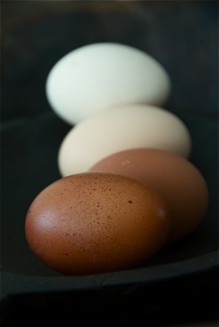 slow_cooked_eggs2